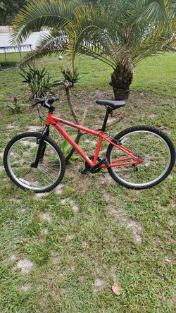 Kids Used red mountain bike