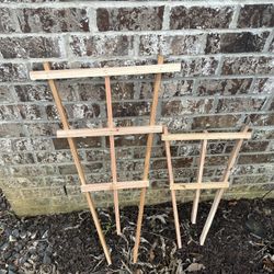 3 Foot And 2 Foot Cedar Growers