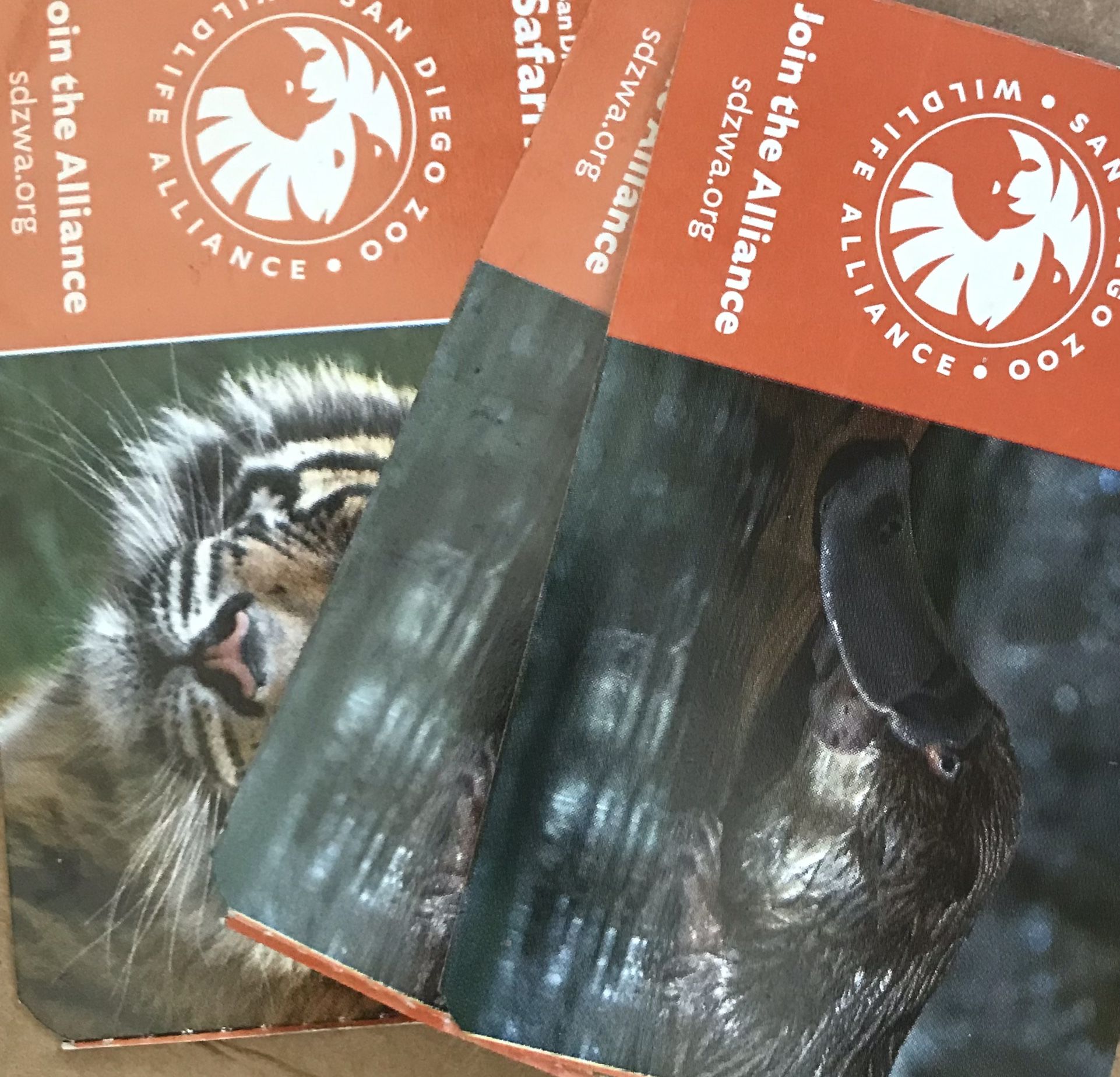 Safari Tickets
