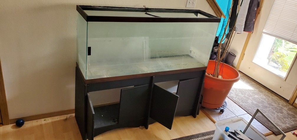 Fish Tank And Stand With A Sky504 Filtration
