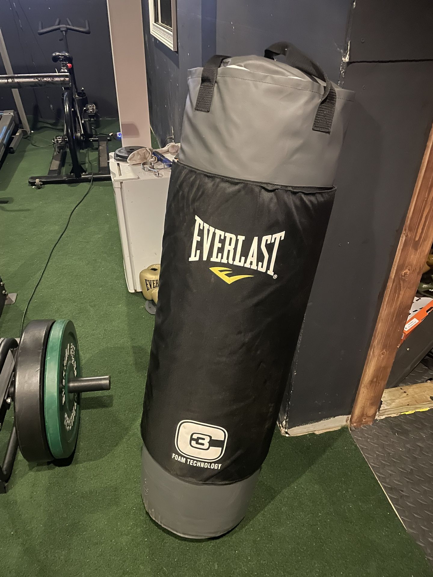 Everlast Punching Bag