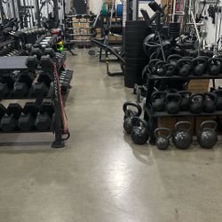 Dumbbells / Kettlebells 