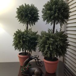 Pottery Barn Topiaries (2 Piece Set)