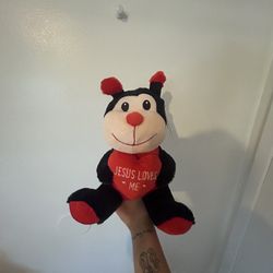“Jesus Loves Me” Ladybug