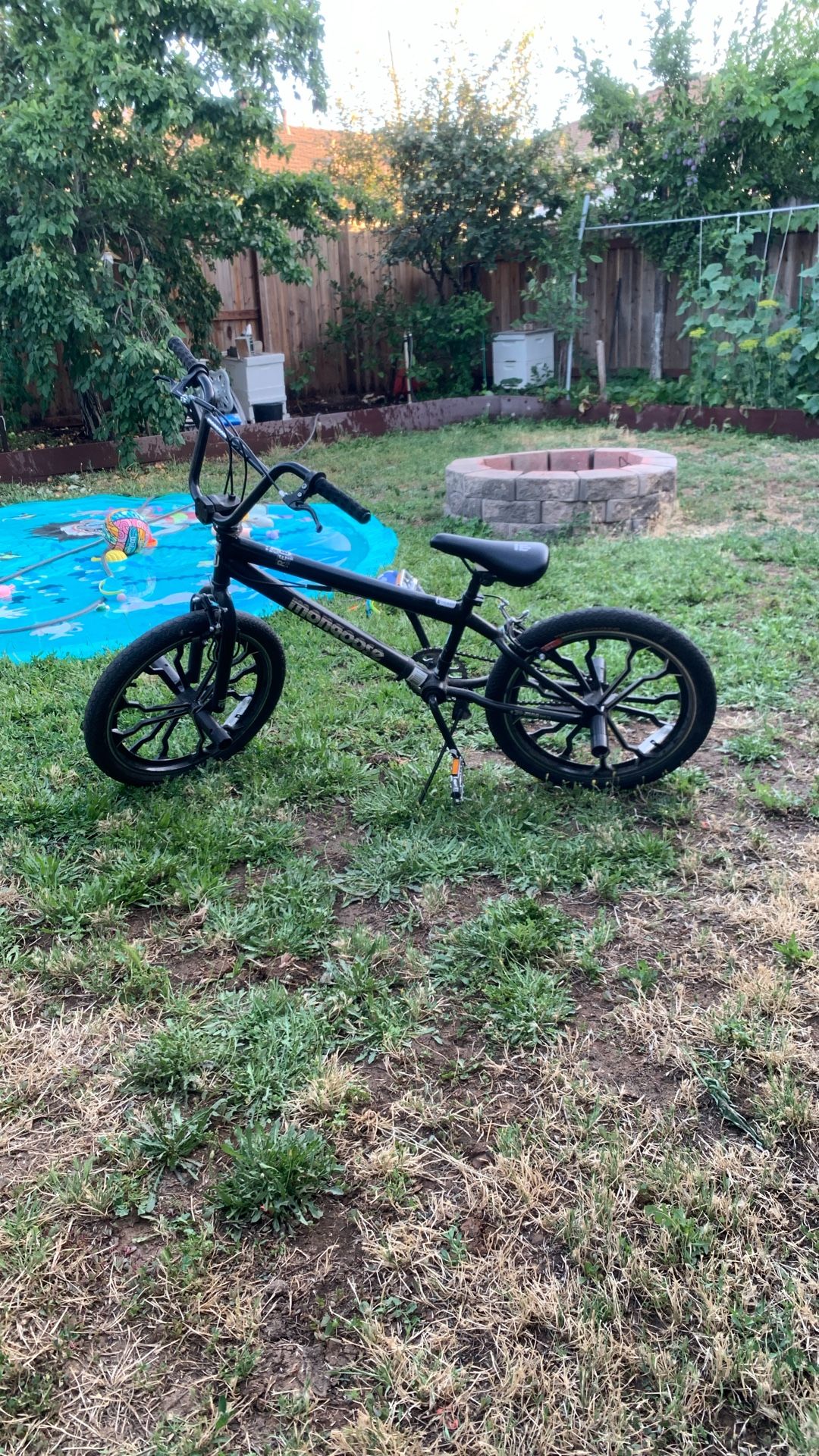 20 in. mongoose
