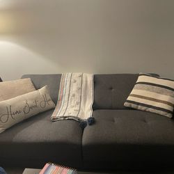 Sleeper Sofa