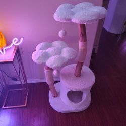 Natural Wood 🪵 Cat 😺 Tree