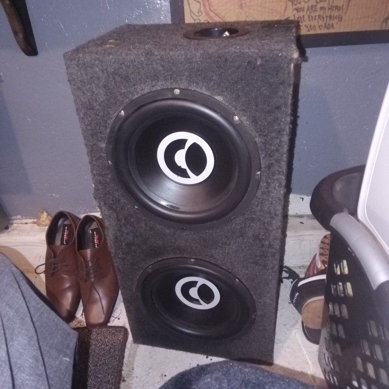Two 10 Inch Subwoofers With Box