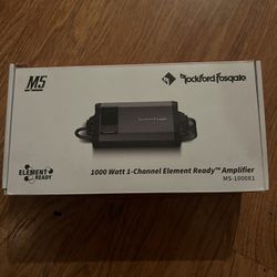 Rockford Fosgate M5-1000X1
