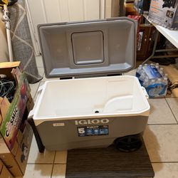 igloo cooler