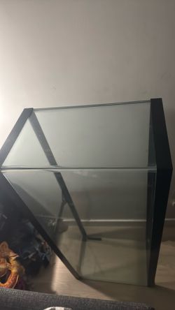 55 gallon fish tank