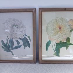 Set Of Beautifully Framed Vintage Prints Mint Condition 