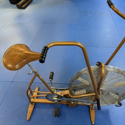 Schwinn airdyne  Exercise Bike