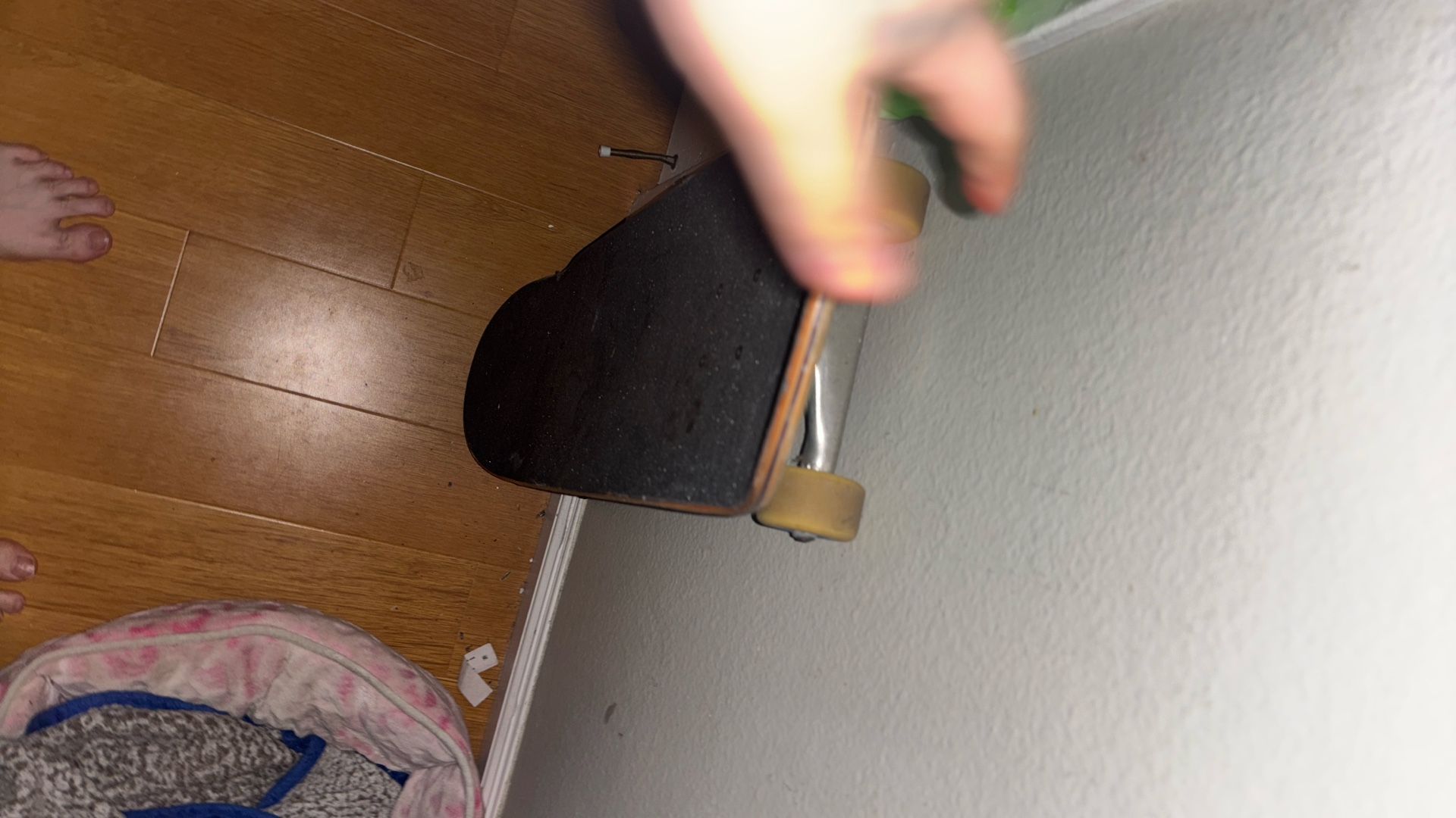 pizza complete skate board