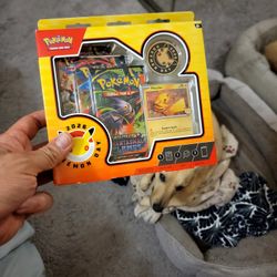 2026 Pokemon Day Collection Box : Pokemon Cards