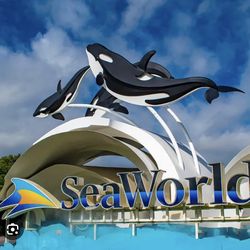 Seaworld Tickets For Sale