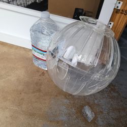 Xl Hamster Or Small Animal Ball 