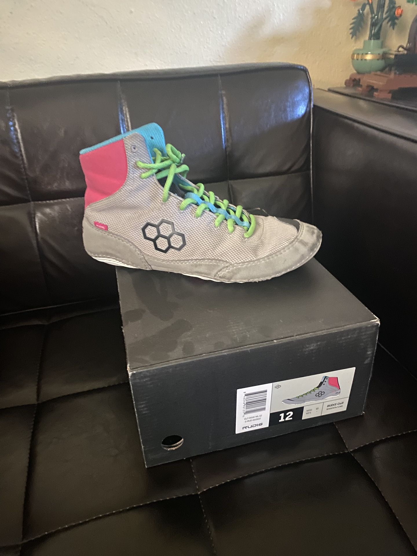 Rudis Colts