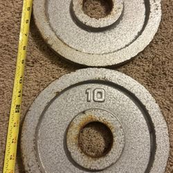 Two 10lb Weight Plates 