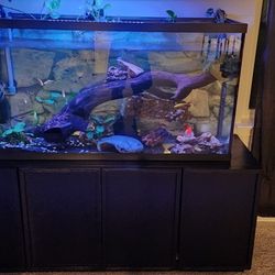 Aquarium