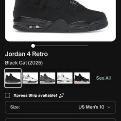 Jordan 4 Black Cat