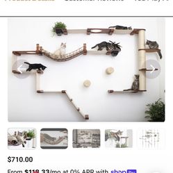 Cat Tree - Playground For Wall