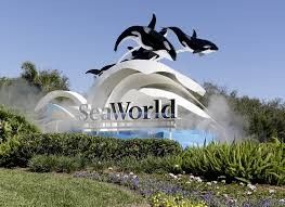 SeaWorld And Busch Gardens Tickets 