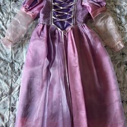 Princess Rapunzel Costume Size 4