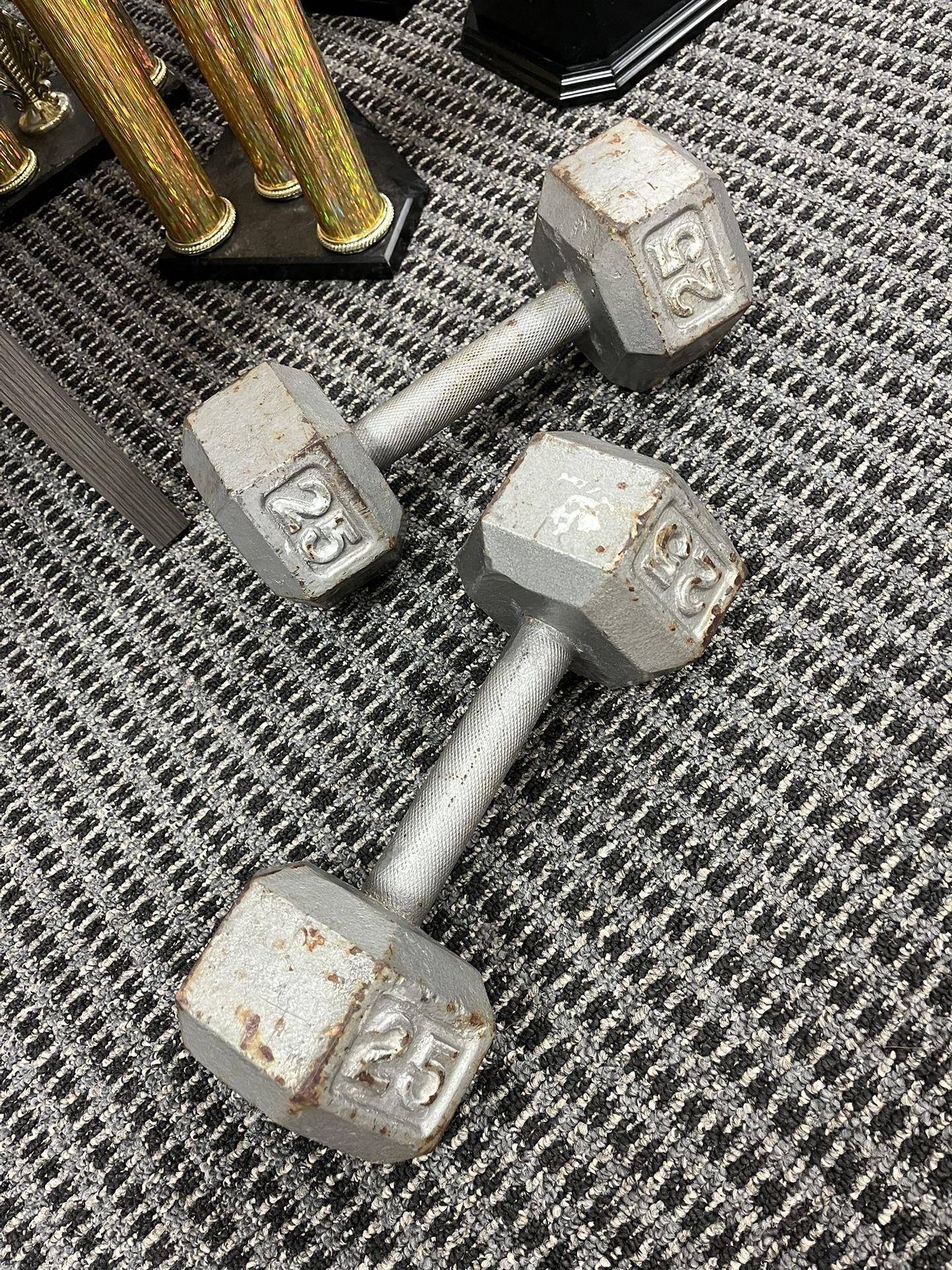 25 Pound Dumbbell Set 25 Lbs Weights