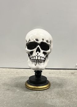 Skull Bust