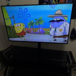 Glass Entertainment Center w/ Mounted 55" Sceptre TV + Chromecast