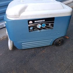 Camping Cooler