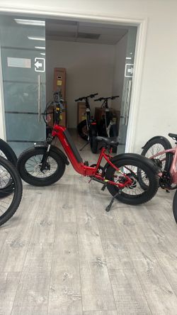 Sisigad foldable e-bike - easy to carry electric bike
