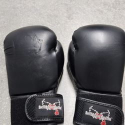 Kickboxing Gloves
