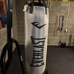 80lb Everlast Punching Bag 