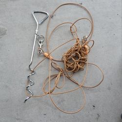 Dog Lead And Stake
