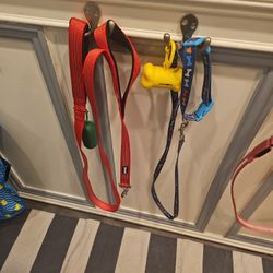 Dog Leashes