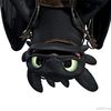 Toothless Dragon