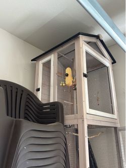 Bird cage for small birds