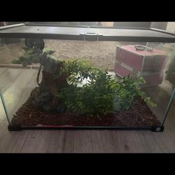 10 Gallon Tank With Hideaway 