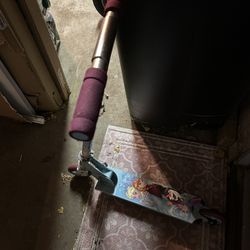 Frozen Scooter 