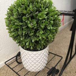 Artificial Decorative Plant