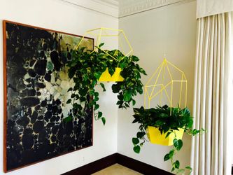 Custom made steel hanging plant holders