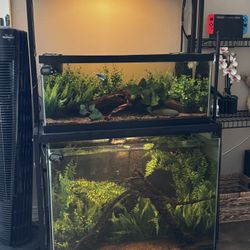 Fish Tanks