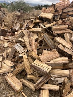 Pine and eucalyptus dry ready to burn