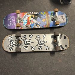 120 For Both Skate Board