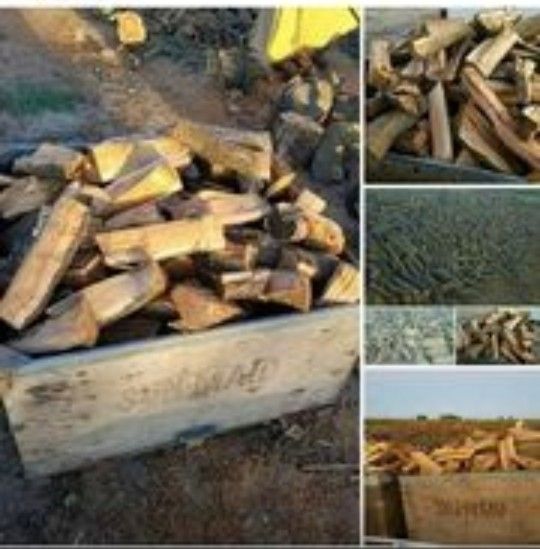 Firewood