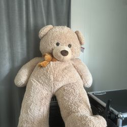 Big Teddy Bear 🧸 