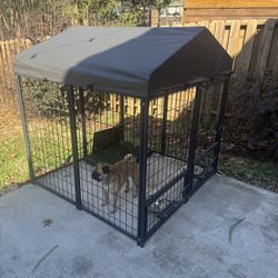 Dog Kennel