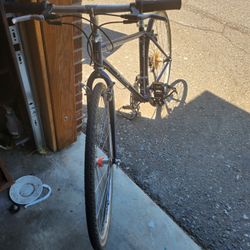 Bici 17 